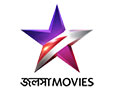 svf logo